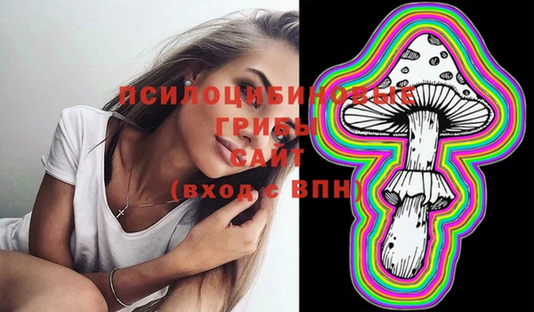 дживик Михайлов