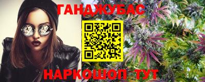 бошки Гатчина
