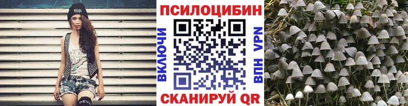 Псилоцибиновые грибы Psilocybe  где продают   OMG   Красноперекопск 