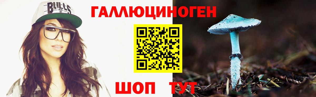 Псилоцибиновые грибы Cubensis  Вход с VPN  Красноперекопск 
